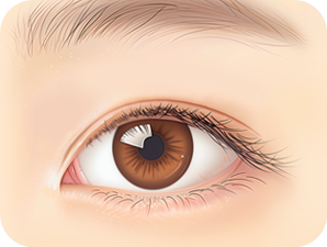 Double Eyelid Surgery in Korea at LABOM Plastic Surgery in Seoul
