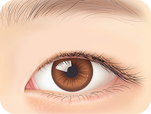 Double Eyelid Surgery in Korea at LABOM Plastic Surgery in Seoul