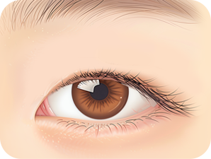 Ptosis Correction in Korea at LABOM Plastic Surgery in Seoul
