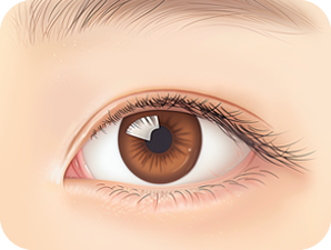 Canthoplasty in Korea at LABOM Plastic Surgery in Seoul