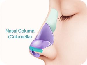 Rhinoplasty in Korea at LABOM Plastic Surgery in Seoul
