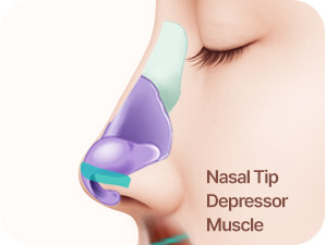 Rhinoplasty in Korea at LABOM Plastic Surgery in Seoul